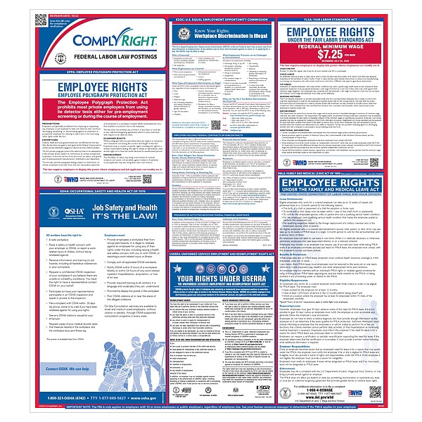 Complyright Labor Law Poster, 27 in H x, 24 in W, Plastic - ERFED