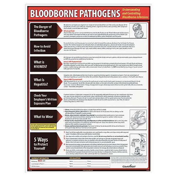 Complyright Poster, Bloodborne Pathogens, 18 in H x, 24 in W, Laminated Paper - WR0233