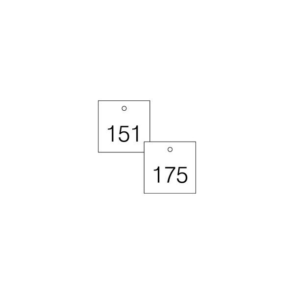 Accuform Engraved Numbered Tags, Engraved Plastic, 1-1/2 in W, 25 PK - TDG376WT