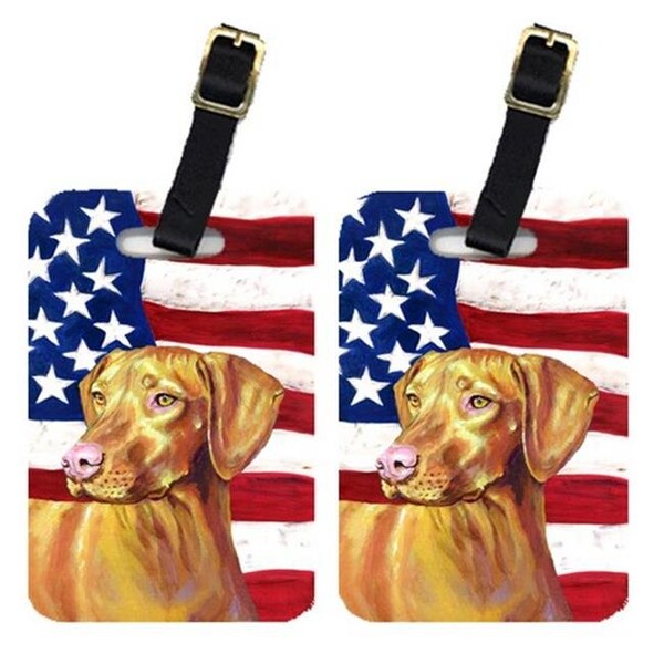 Carolines Treasures Carolines Treasures LH9012BT Pair Of USA American Flag With Vizsla Luggage Tags - LH9012BT