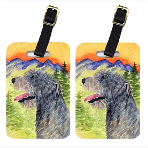 Carolines Treasures Carolines Treasures SS8209BT Irish Wolfhound Luggage Tags; Pack - 2 - SS8209BT