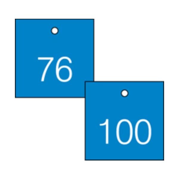 Accuform Engraved Numbered Tags, Plastic, 3/8 in H x 3-1/4 in W, 25 PK - TDG373BU