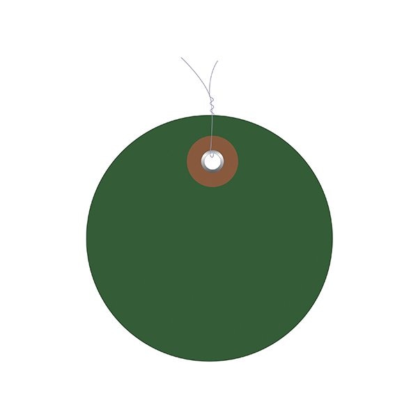 Bsc Preferred 3'' Green Plastic Circle Tags - Pre-Wired, 100PK - BUY00021602