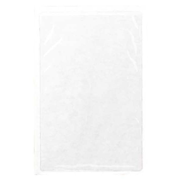 Brady Tag Envelope, Vinyl, 6 1/2 in H x 4 1/2 in W, Clear, 10 PK - 81771