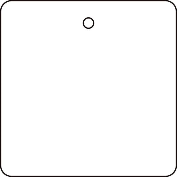 Zoro Select Tag, Blank, Plastic, 2 in H x 2 in W, White, Square, 10 PK - 22CM93