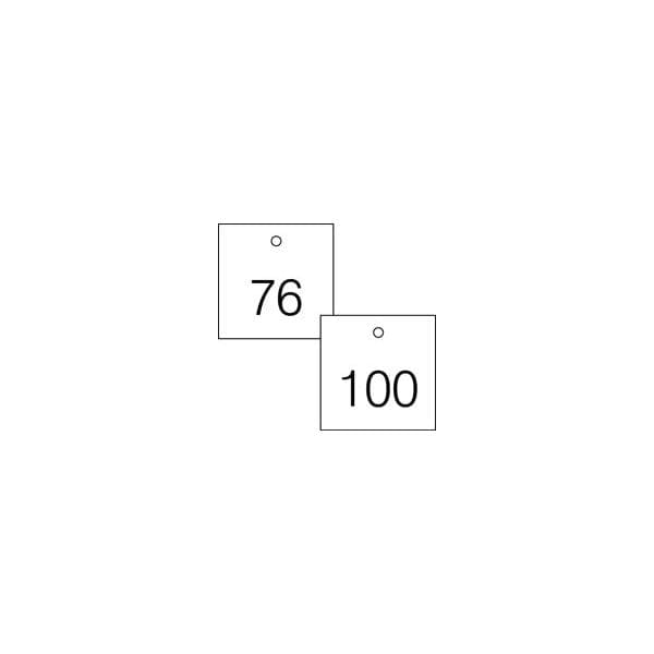 Accuform Engraved Numbered Tags, RP-Plastic, 0.075 in H x 3-1/4 in W, 25 PK - TDG373WT