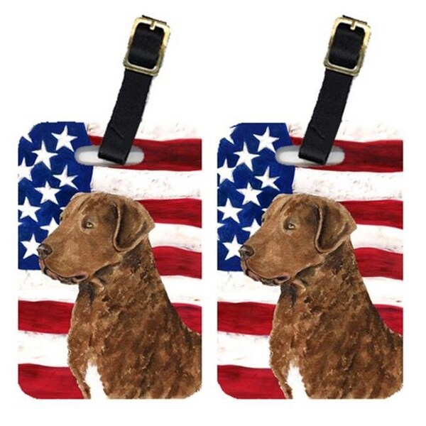 Carolines Treasures Carolines Treasures SS4016BT Pair Of USA American Flag With Curly Coated Retriever Luggage Tags - SS4016BT