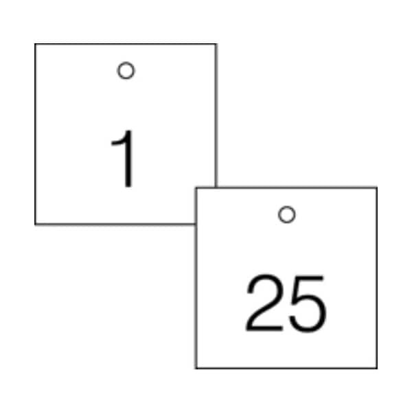 Accuform Engraved Numbered Tags, HS-Laminate, 2-3/4 in W, 25 PK - TDG370WT
