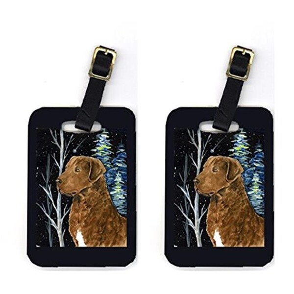 Carolines Treasures Carolines Treasures SS8411BT Pair of 2 Starry Night Chesapeake Bay Retriever Luggage Tags - SS8411BT