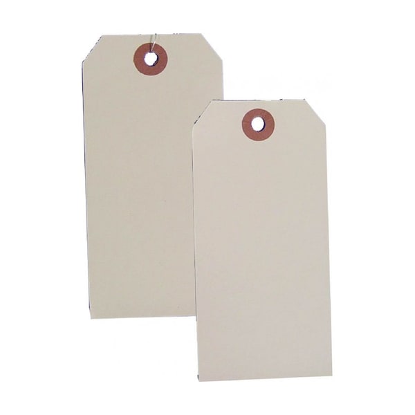 Nmc Small Blank Tags, Card Stock, 1.63 in H x 3-1/4 in W - BPT3