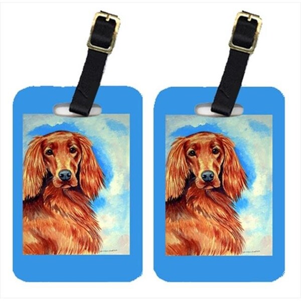 Carolines Treasures Carolines Treasures 7029BT Irish Setter Luggage Tags; Pack - 2 - 7029BT
