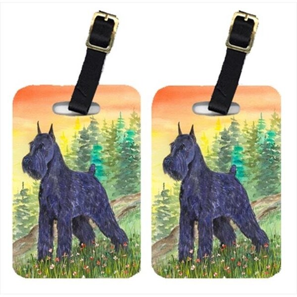 Carolines Treasures Carolines Treasures SS1051BT Schnauzer Luggage Tag - Pair 2; 4 x 2.75 In. - SS1051BT