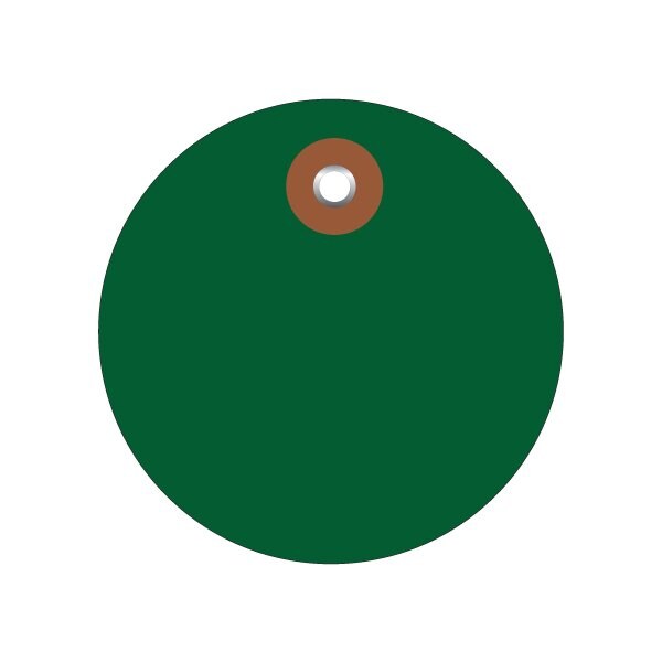 Bsc Preferred 2'' Green Plastic Circle Tags, 100PK - BUY00019868