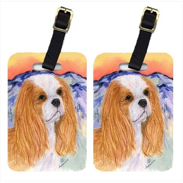 Carolines Treasures Carolines Treasures SS8164BT Cavalier Spaniel Luggage Tags; Pack - 2 - SS8164BT