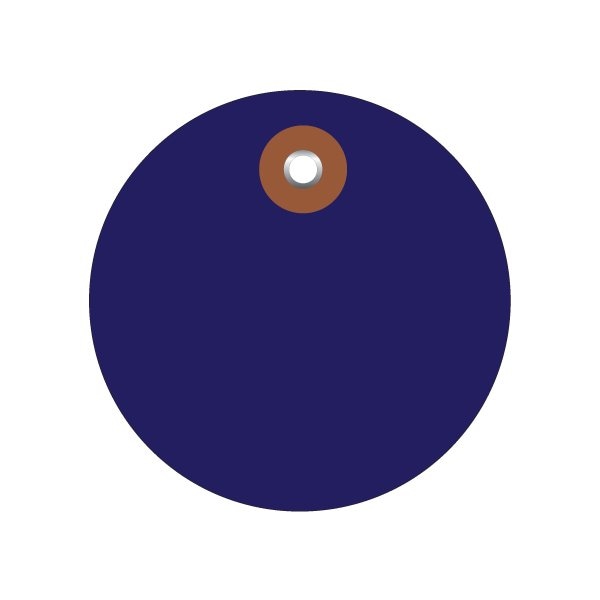 Bsc Preferred 2'' Blue Plastic Circle Tags, 100PK - BUY00019774