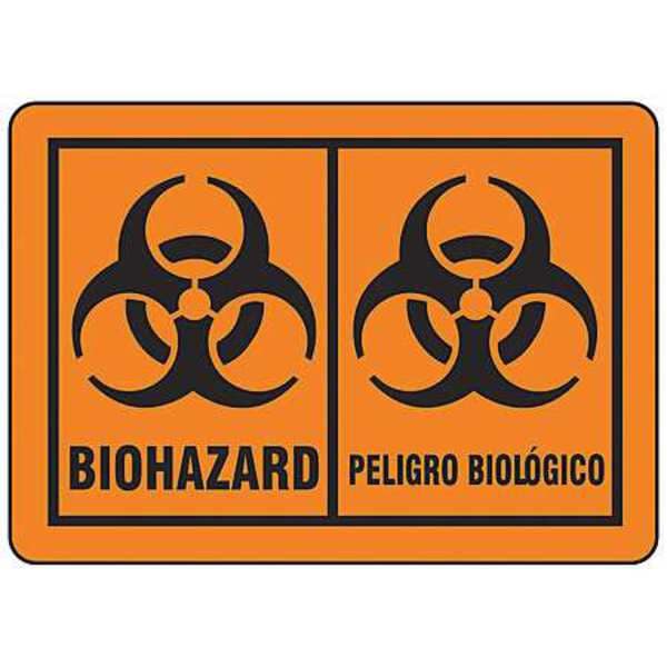 Brady Bilingual Biohazard Label, Biohazard/Peligro Biologico, Paper, 3 1/2 in W, 5 in H - 31264LS