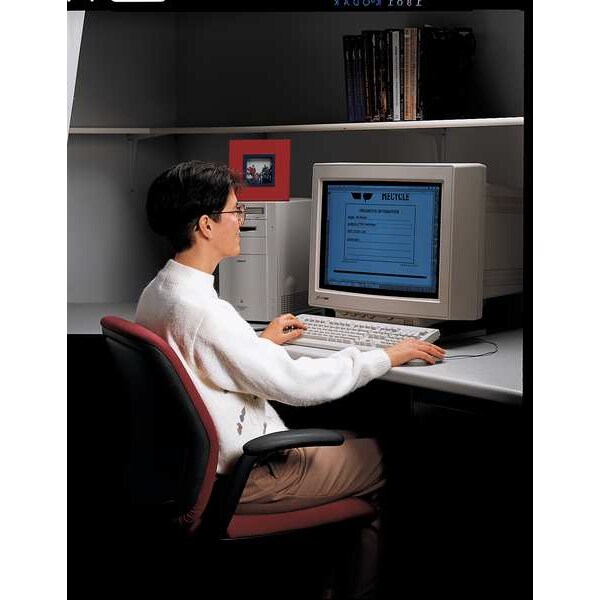 Accuform DOT Handling Label, Shipper_______Address_______City, State, Zip_______Contents_______, Polyester - MHZW30EVL