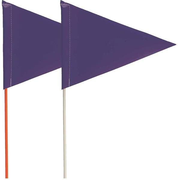 Blackburn Flag Blackburn Pennant Marking Flag with Fiberglass Staff - FIELD FLAG W/BLU