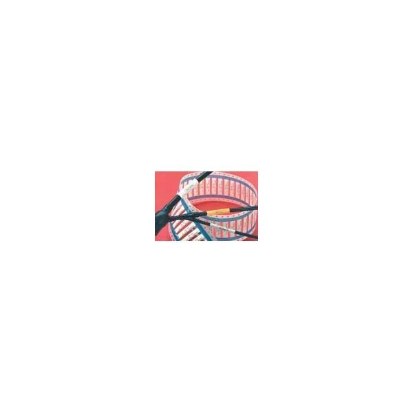 Raychem TMS-SCE-1K-3/16-2.0-2 - TMS-SCE-1K-3/16-2.0-2