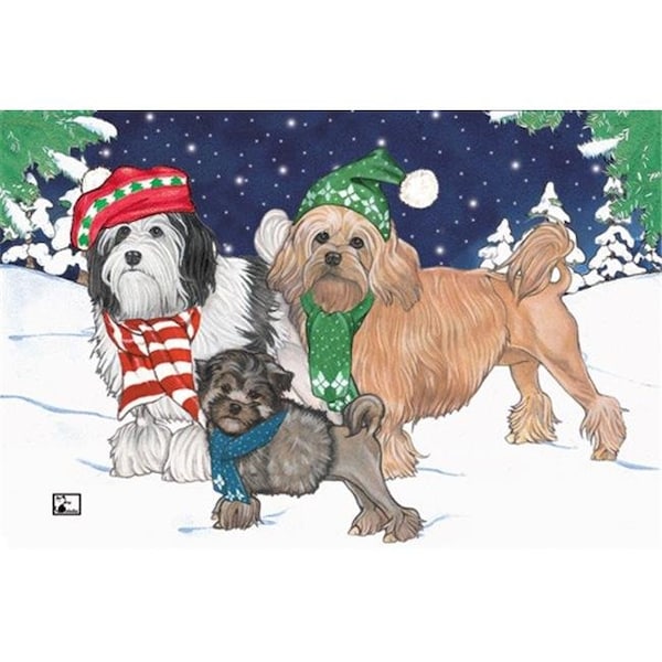 Pipsqueak Productions Pipsqueak Productions C494 Holiday Boxed Cards- Lowchen - C494