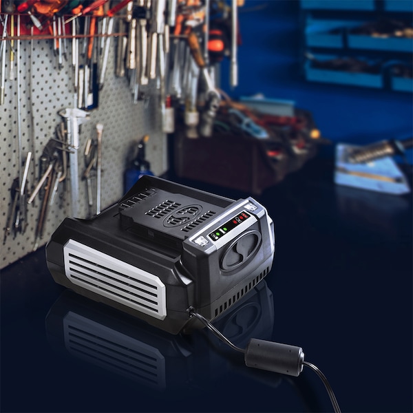 Snow Joe N100V-RCH Rapid Charger for 100 Volt iON100V Series Tools - ION100V-RCH