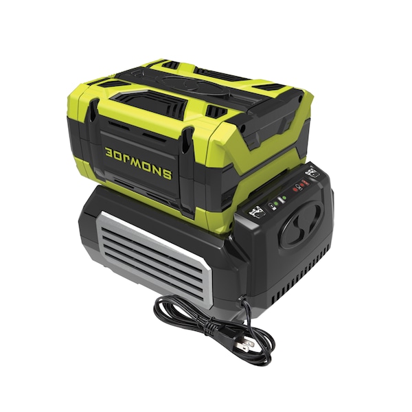 Snow Joe N100V-RCH Rapid Charger for 100 Volt iON100V Series Tools - ION100V-RCH