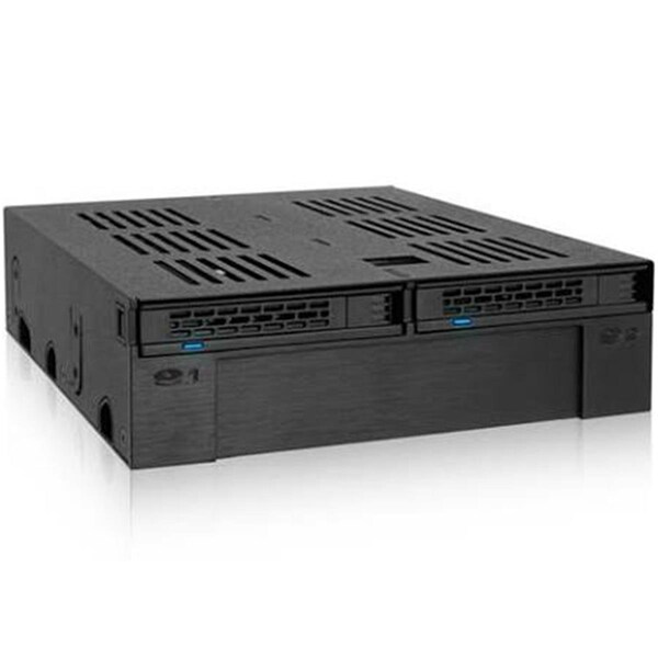 Awesome Audio 2.5 in. 2 Bay SAS SATA Storage Mobile Rack - AW2942851