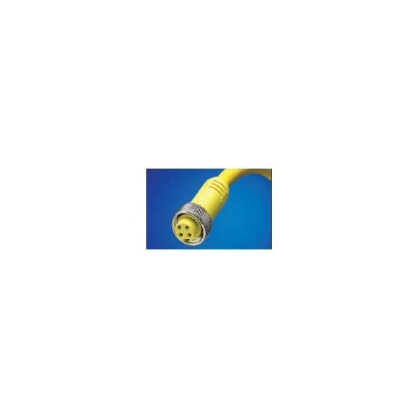 Cable de extremo único Woodhead Mini-Change, 4 polos, hembra (recto) a cable pelado - NMEA104000A01M0103