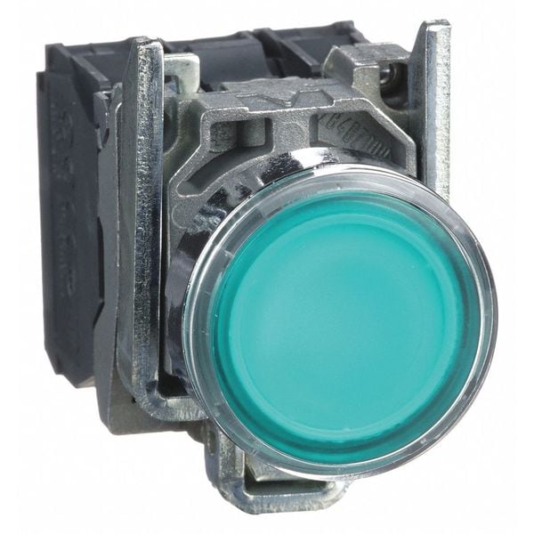Botón pulsador iluminado Schneider Electric, 22 mm, 1NO/1NC, Verde - XB4BW33B5
