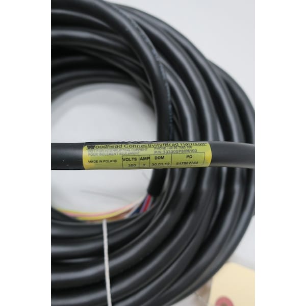 Woodhead MINI-CHANGE EXTREMO ÚNICO DE 10M 300V-AC CABLE DE CABLE DE CONJUNTO - 303000P80M100