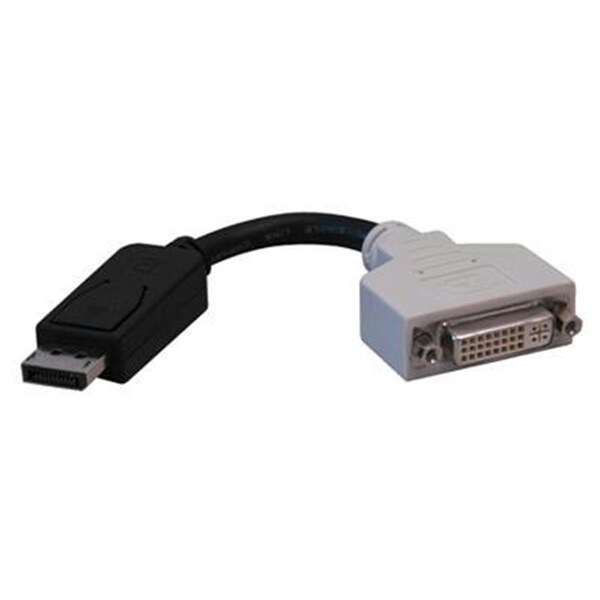 Evolve 6 Displayport - Male to DVI - I - EV61182