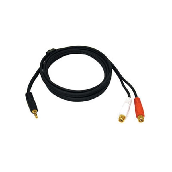 Fasttrack 6Ft 3.5Mm Stereo Male To Rca Female Y-Cable - FA56895