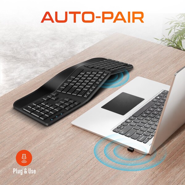 Delton Wireless Ergonomic Keyboard with Wrist Rest 3D Curved Keys Full Size 104 Keys Auto Pair USB - DKBERG24G8-WB