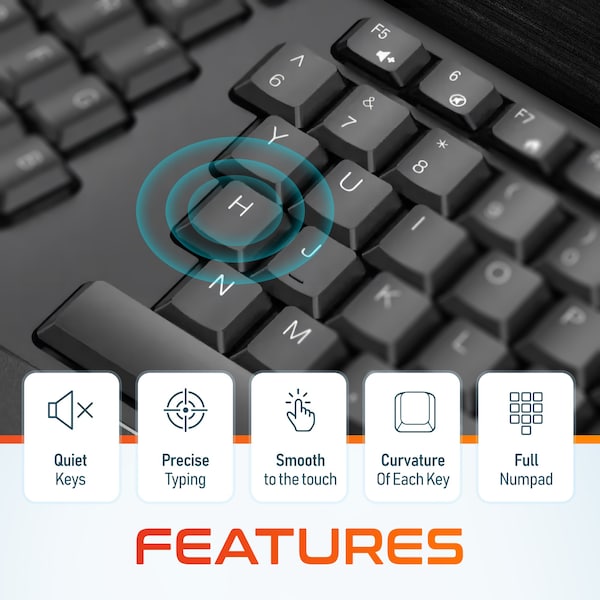 Delton Wireless Ergonomic Keyboard with Wrist Rest 3D Curved Keys Full Size 104 Keys Auto Pair USB - DKBERG24G8-WB