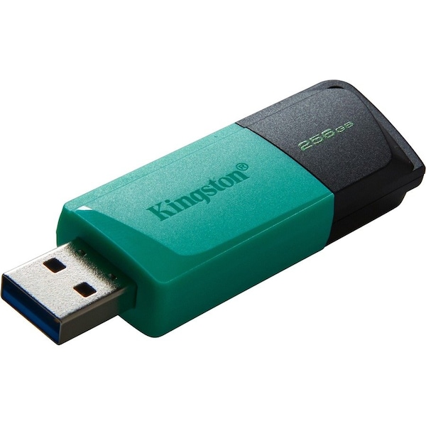 Kingston DataTraveler Exodia M USB Flash Drive - DTXM/256GB