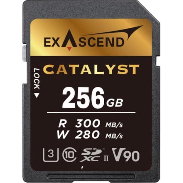 Analogcosa Analoga 256GB UHS-I V30 SD Catalyst Memory Card - AN3486259