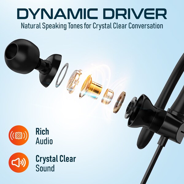 Delton Stereo Earbuds with USB Type-A and USB Type-C -Black - 24ECA