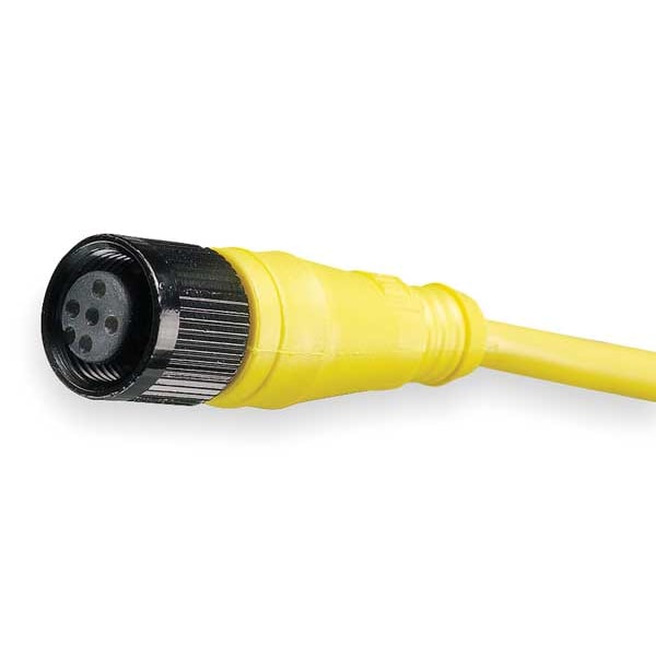 Cable Brad Harrison, 4 Pines, Receptáculo, Hembra - 804000A09M050