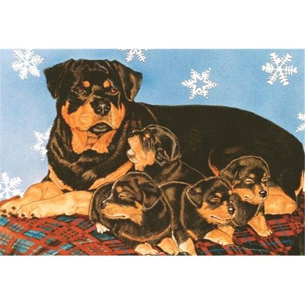 Pipsqueak Productions Pipsqueak Productions C906 Rottweiler Holiday Boxed Cards - C906