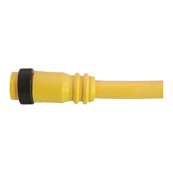 Cable de conexión Remke, Mini, PVC, Hembra, 12 polos, 6 pies - 112A0060AP