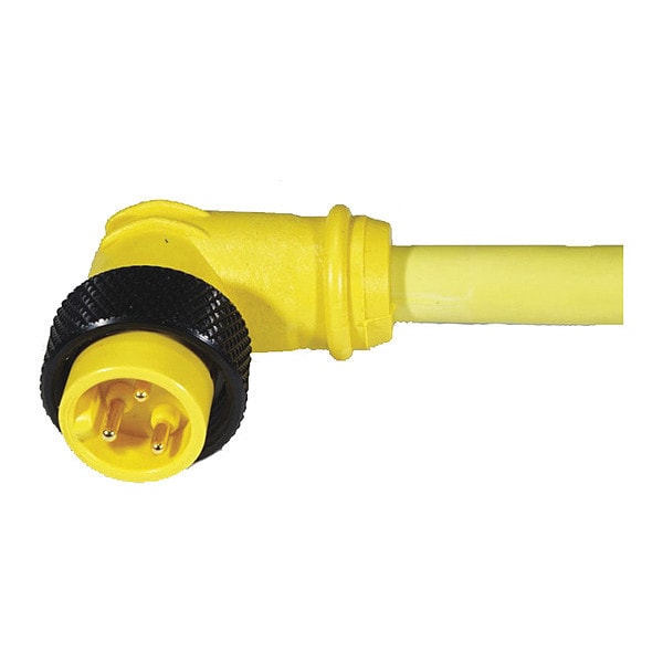Remke Cordset, MiniPVC, Macho, 4 Polos, 6 pies - 104D0060AP