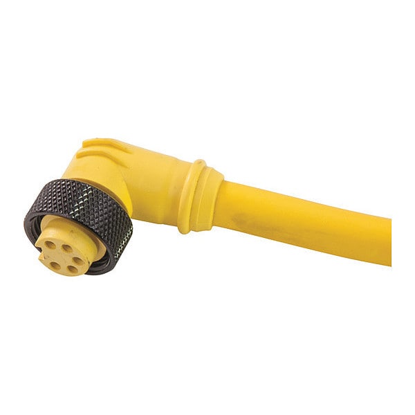 Ensamble Mini-Link de Cordset Remke, PVC, hembra, 3 pines, 20 pies - 103C0200AP