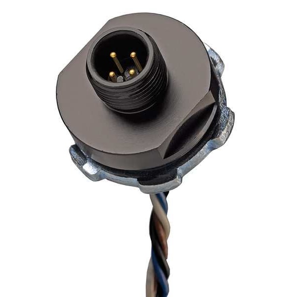 Receptáculo de hilo externo de Brad Harrison, 5, macho, 22 AWG - 8R5006A18A120