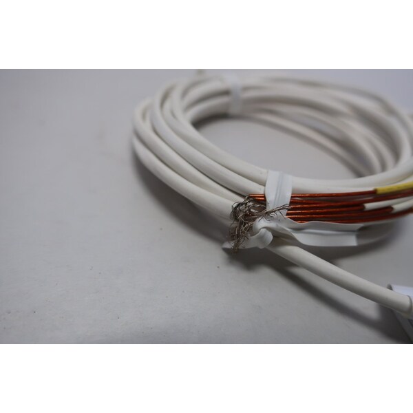 Minco -100-200C TRI-CLAMP 2IN 1/4IN RTD - S101644PMZ21T120TC10P