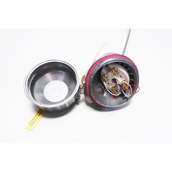 Pyromation 24 pulgadas 316 pulgadas RTD - JJ38U-024-00-96HP31