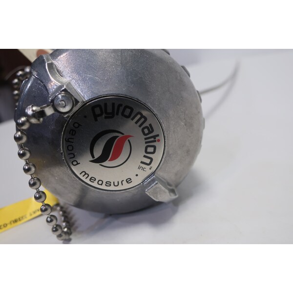 Pyromation 24 pulgadas 316 pulgadas RTD - JJ38U-024-00-96HP31