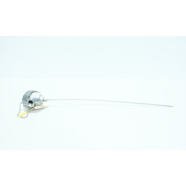 Pyromation 24 pulgadas 316 pulgadas RTD - JJ38U-024-00-96HP31