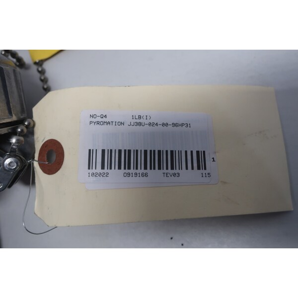 Pyromation 24 pulgadas 316 pulgadas RTD - JJ38U-024-00-96HP31