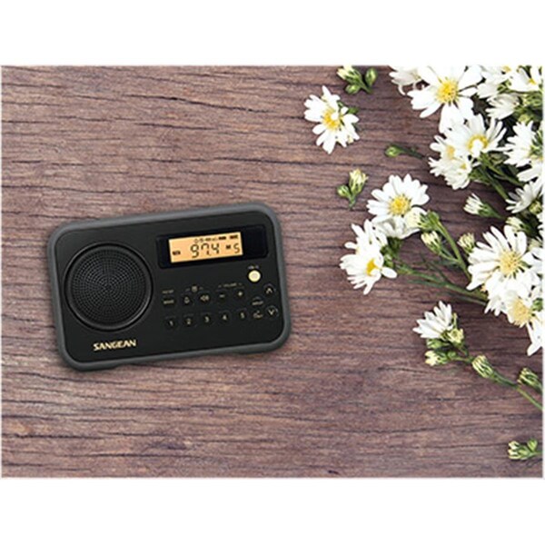 Skilledpower Portable AM & FM Radio with Digital Clock, Black - SK3646739