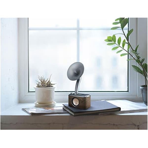 Sangean Sangean CP-100 AM & FM Radio with Bluetooth Speaker & Aux-Input - CP-100